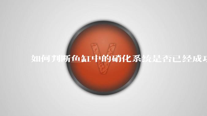 如何判断鱼缸中的硝化系统是否已经成功建立？