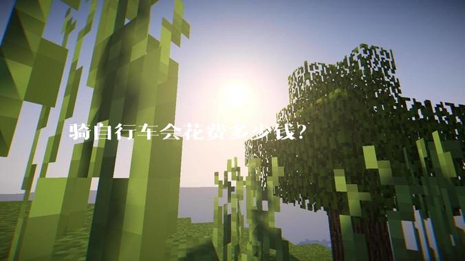 骑自行车会花费多少钱？