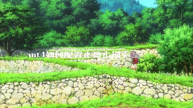 mt4如何配置止盈止损?