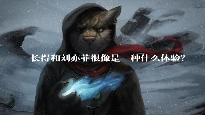 长得和刘亦菲很像是一种什么体验？