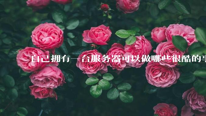 自己拥有一台服务器可以做哪些很酷的事情？