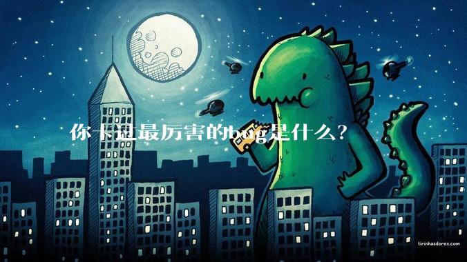 你卡过最厉害的bug是什么？