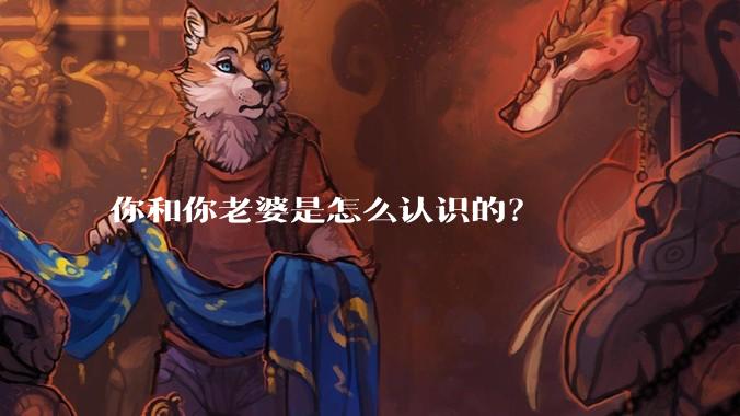 你和你老婆是怎么认识的？