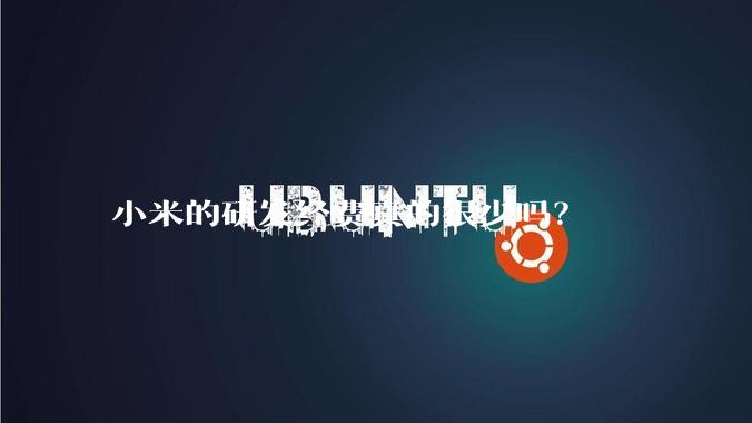 小米的研发经费真的很少吗？