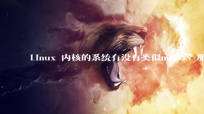 Linux 内核的系统有没有类似macOS 那样漂亮流畅的桌面环境的发行版本?