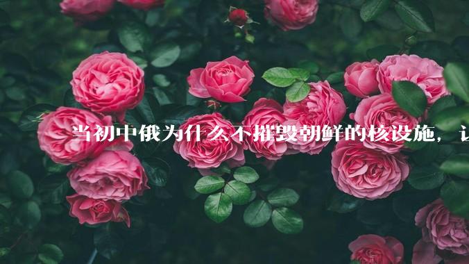 当初中俄为什么不摧毁朝鲜的核设施，让朝鲜拥有了自己的核武器？